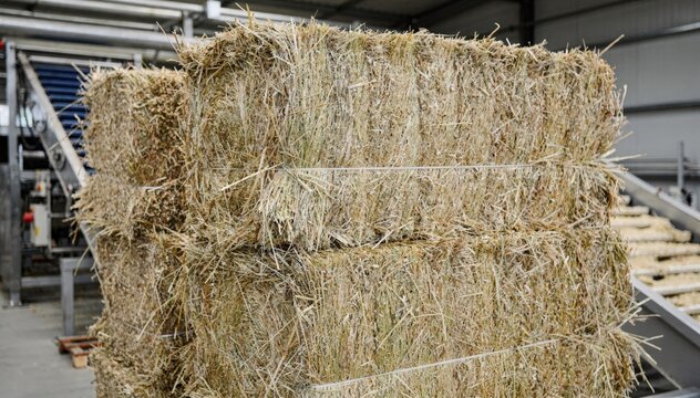Medium shot of bundled baled kenaf fibers postseparation process highlighting industrial sorting of core and bast components for natural fiber manufacturing.