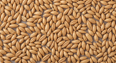 Fototapeta premium Top-down view of dry barley grains