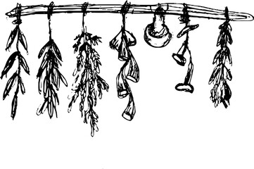 Hand-drawn sketch of hanging dried herbs and mushrooms in rustic black and white illustration style for organic and herbal decor themes © ELIZAVETA