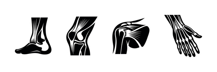 Anatomy vector icons set: bone and joint illustrations for medical design