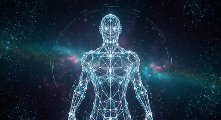 Digital human body representation