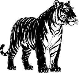 Fototapeta premium vintage hand drawn Bengal Tiger silhouette vector illustration