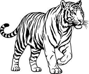 vintage hand drawn Bengal Tiger silhouette vector illustration