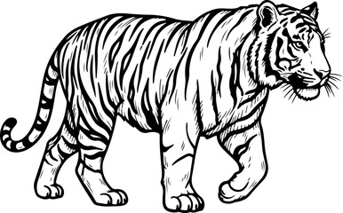 vintage hand drawn Bengal Tiger silhouette vector illustration © Print