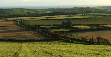 Obraz premium Rural landscape - Seven head trail - Courtmacsherry - County Cork - Ireland