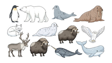 Arctic Wildlife Illustration: A vibrant illustration showcasing a variety of arctic animals, each exquisitely detailed and true to life. © Ajhar234