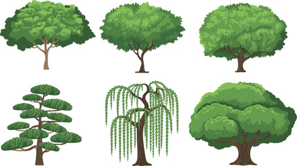 Collection of illustrated tree vectors, six tree varieties including oak, willow, pine and stylized bonsai, lush foliage, landscape and gardening design elements © Hello World