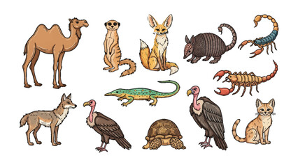 Obraz premium Desert Animals Collection: An engaging collection showcases a variety of desert fauna. Ideal for educational materials and design projects. 