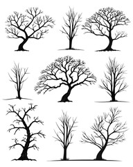 Obraz premium A collection of bare trees in various shapes and sizes Vector
