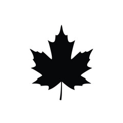 Fototapeta premium Black maple leaf silhouette on white background