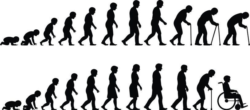 Human life cycle evolution silhouettes from baby crawling to elderly walking and wheelchair, aging process, lifespan stages, health and development concept illustration