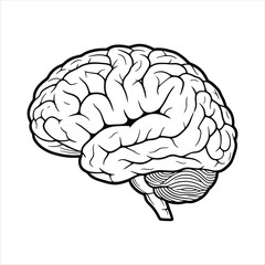 Fototapeta premium Brain Anatomy Outline Medical Vector Graphic