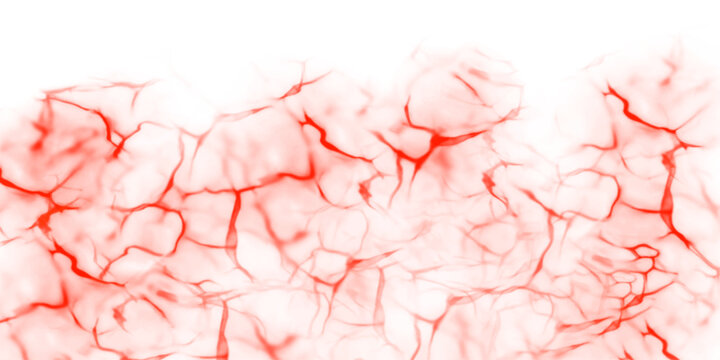 Red organic vector texture background with blood vessel patterns, muscular fibers, and anatomical capillary network for healthcare and creative art
