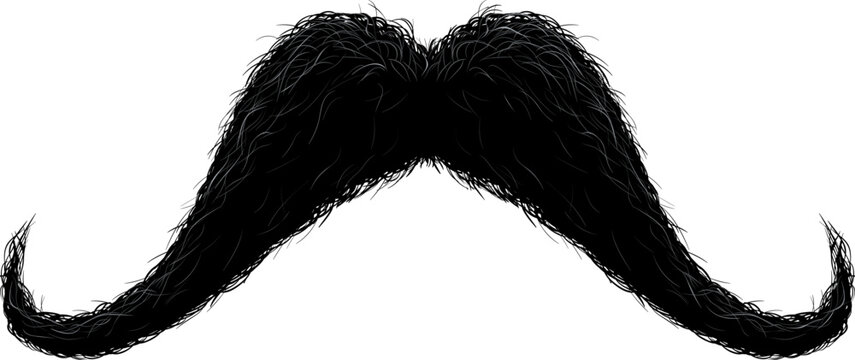 Black curly vintage handlebar mustache on white background