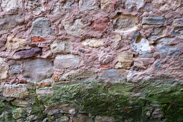 Fototapeta premium Texture of an ancient medieval stone wall with weathered pink mortar and a thick layer of green moss at the base featuring rustic masonry and aged organic details in a historic european village