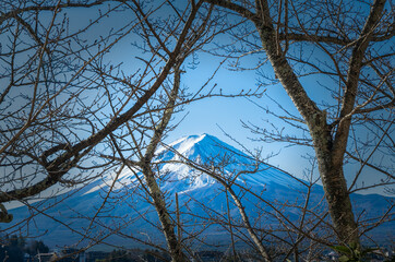 Mt Fuji