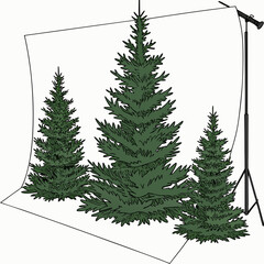 Obraz premium Three evergreen trees in a studio setting with a white backdrop.