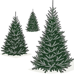 Obraz premium Three Green Christmas Trees Isolated on White Background.
