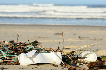 Dead puffin on the beach, due to a storm and plastic pollution