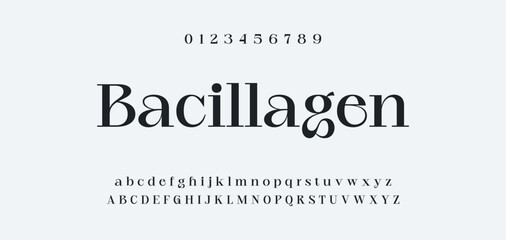 Obraz premium Elegance Luxury wedding alphabet font. Typography elegant classic lettering serif fonts decorative vintage retro for logo. vector illustration