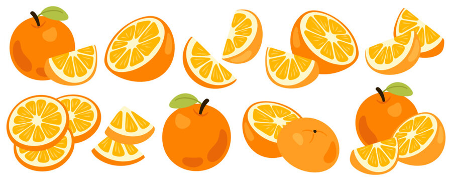 Collection of Fresh Orange Fruit vectors, whole, halved, and sliced pieces