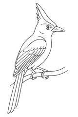 Obraz premium bird sitting on tree branch vector illustration