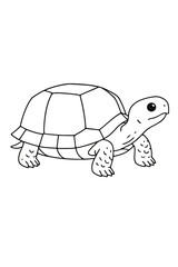 cute turtle walking on white background