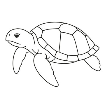 cute green turtle cartoon illustration