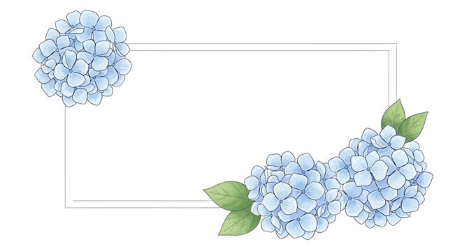 Blue hydrangea flowers and green leaves on white background with rectangular frame