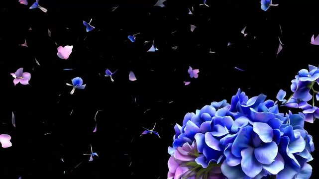 Against a deep black backdrop, a cluster of vivid blue hydrangea blossoms fills the lower right, while scattered pink and indigo petals drift across the frame like gentle confetti in midair.