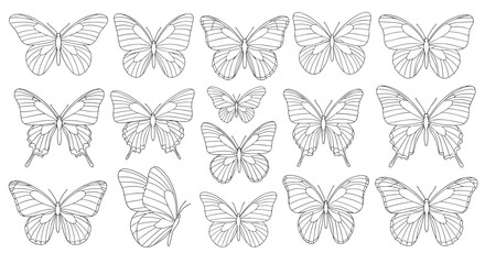 Fototapeta premium Collection of various hand-drawn butterfly sketches in line art style for decorative use and artistic design projects.