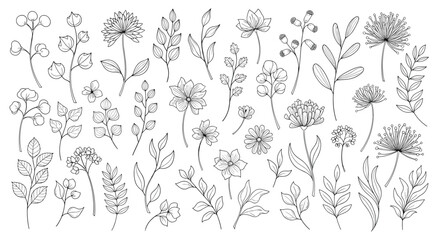 Comprehensive set of hand-drawn botanical sketches including diverse wildflowers, leaves, and twigs in a clean black line art style.