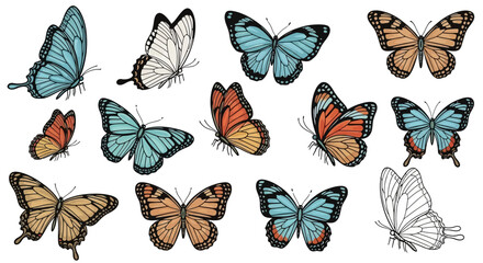 Collection of colorful butterflies in various poses and vibrant colors on a clean white background, vector illustration Whisk_bbbd10758532484b31d48768457876acdr.eps © Avra