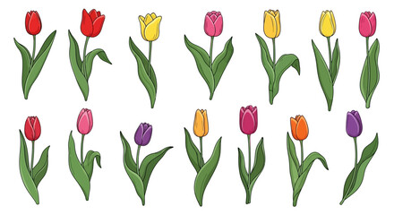 Obraz premium Vibrant tulips in full bloom, a colorful illustration of spring flowers arranged in a grid pattern from a direct overhead viewpoint