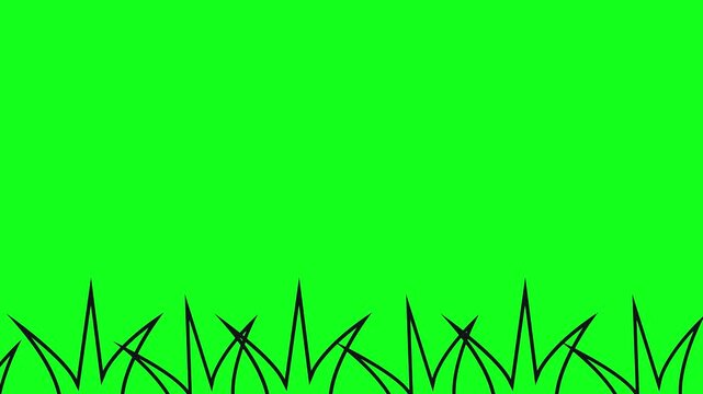 Cartoon grass border animation on green screen background chroma key