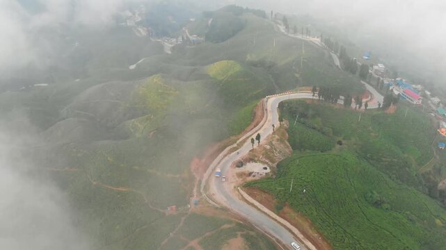 Drone view of lush green tea plantations / Tea garden in Ilam, eastern Nepal, with rolling hills, misty mountains, and small red roof houses surrounded by nature.