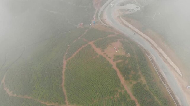 Drone view of lush green tea plantations / Tea gardwn in Ilam, eastern Nepal, with rolling hills, misty mountains, and small red roof houses surrounded by nature.