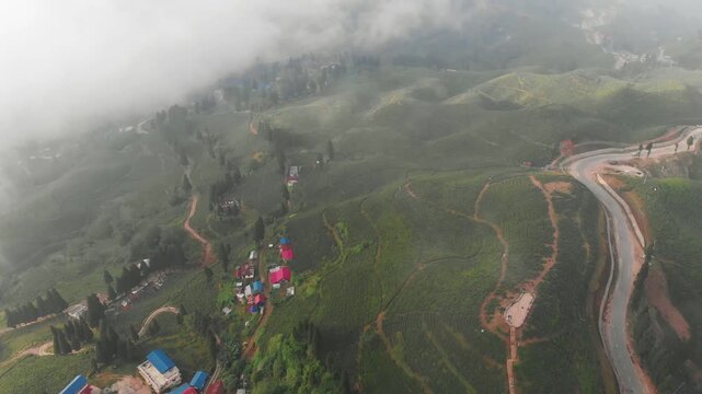 Drone view of lush green tea plantations / Tea gardwn in Ilam, eastern Nepal, with rolling hills, misty mountains, and small red roof houses surrounded by nature.