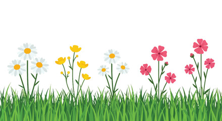 A colorful arrangement of wildflowers growing in lush green grass