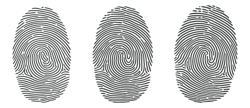 Human fingerprints illustration realistic fingerprint patterns and silhouette designs
