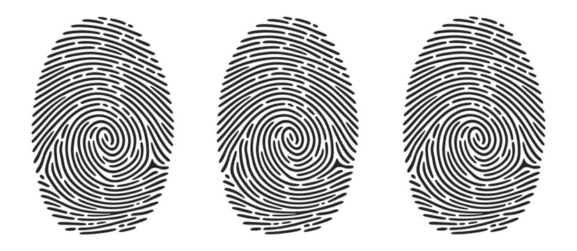 Human fingerprints illustration realistic fingerprint patterns and silhouette designs
