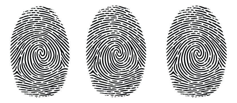 Human fingerprints illustration realistic fingerprint patterns and silhouette designs