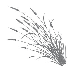 Fototapeta premium Wheat Stalks Icon Illustration