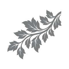 Fototapeta premium Elegant Botanical Leaf 