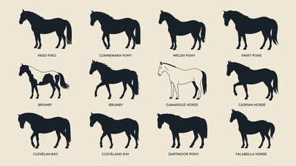 A simple vector file with text on a white background