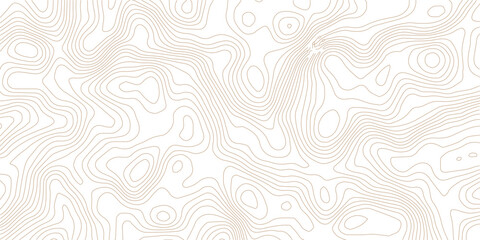 abstract diagram discovery topographic map banner texture background.Vector geographic contour map. Background of the topographic map. Topographic map lines, contour background. © AFROZAOPORNA