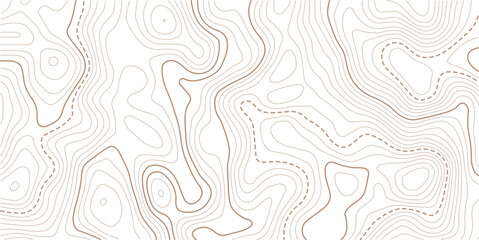 Topographic line contour map background, Topographic map and landscape terrain texture grid,Vector geographic contour map. Background of the topographic map. Topographic map lines, contour background. © AFROZAOPORNA