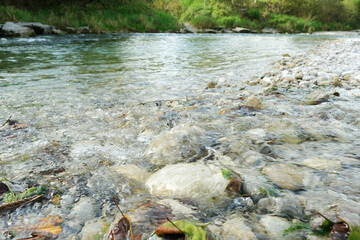 Clear Shallow River Water Flowing Over Rocks and Stones