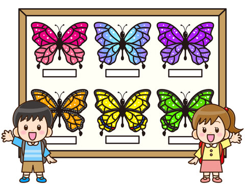 モルフォ蝶 Images – Browse 118 Stock Photos, Vectors, and Video