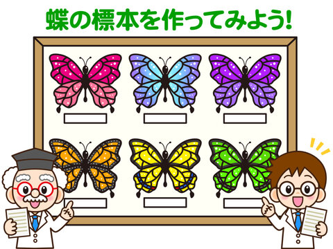 モルフォ蝶 Images – Browse 118 Stock Photos, Vectors, and Video